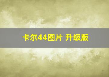 卡尔44图片 升级版